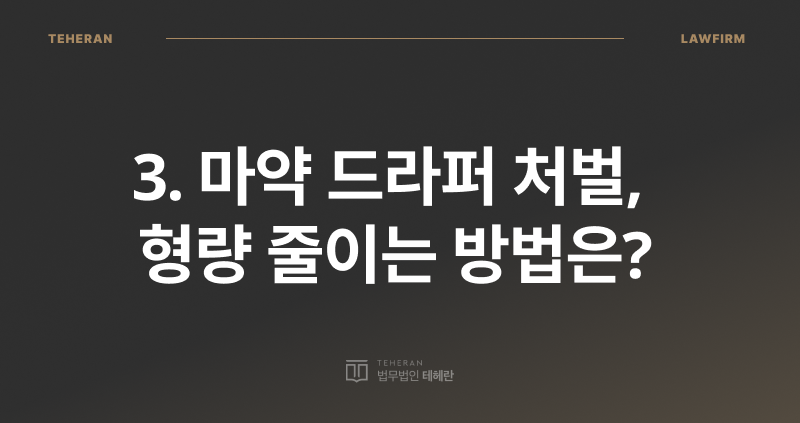 드라퍼 처벌, 마약 드라퍼, 마약 운반책, 드라퍼 형량, 마약 전문 변호사