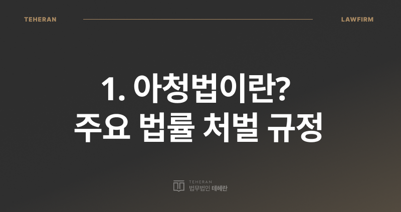 아청법 걸리는 기준, 아동·청소년의 성보호에 관한 법률, 아청법 전문 변호사, 아청법 처벌, 아청법 나이 기준