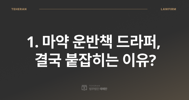 드라퍼 처벌, 마약 드라퍼, 마약 운반책, 드라퍼 형량, 마약 전문 변호사