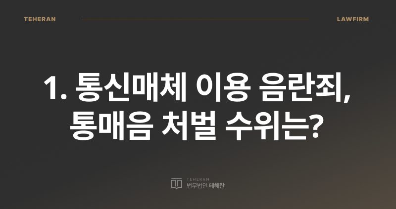 롤 통매음, 통매음 합의금, 통신매체 이용 음란죄, 통매음 변호사