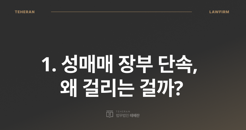 성매매 장부 단속, 장부 단속, 성매매 공소 시효, 성 매수자 처벌