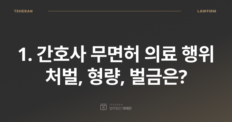 무면허 의료 행위 처벌, 간호사 불법 의료 행위, 의료법 위반